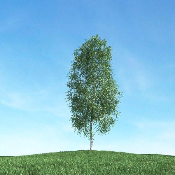 Archmodels vol 106 - Realistic Tress Collection