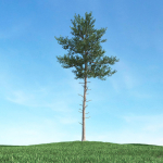 Archmodels vol 106 - Realistic Tress Collection