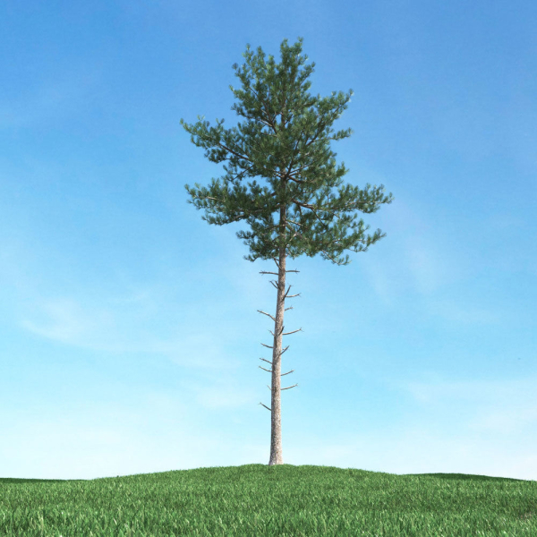 Archmodels vol 106 - Realistic Tress Collection