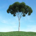 Archmodels vol 106 - Realistic Tress Collection