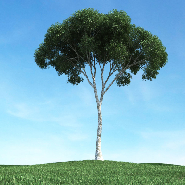 Archmodels vol 106 - Realistic Tress Collection