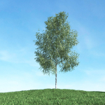 Archmodels vol 106 - Realistic Tress Collection