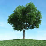 Archmodels vol 106 - Realistic Tress Collection