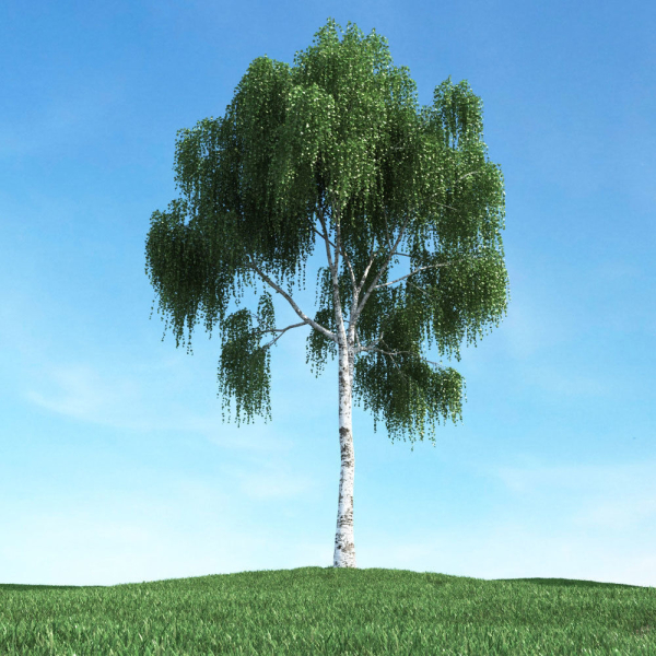 Archmodels vol 106 - Realistic Tress Collection