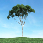 Archmodels vol 106 - Realistic Tress Collection
