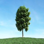 Archmodels vol 106 - Realistic Tress Collection