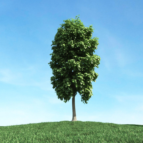 Archmodels vol 106 - Realistic Tress Collection