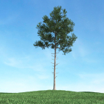 Archmodels vol 106 - Realistic Tress Collection