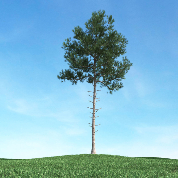 Archmodels vol 106 - Realistic Tress Collection