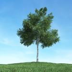 Archmodels vol 106 - Realistic Tress Collection