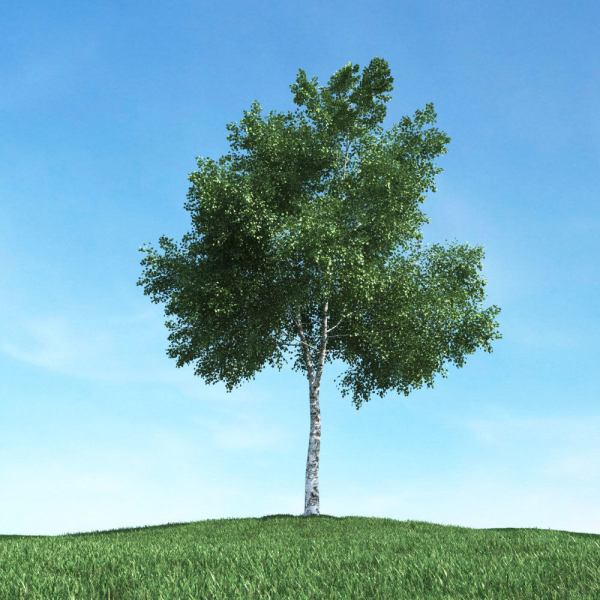 Archmodels vol 106 - Realistic Tress Collection
