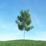 Archmodels vol 106 - Realistic Tress Collection