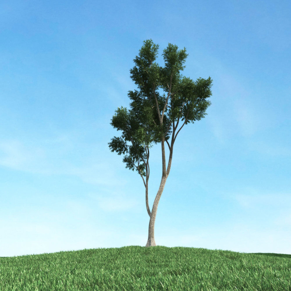 Archmodels vol 106 - Realistic Tress Collection