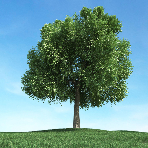 Archmodels vol 106 - Realistic Tress Collection