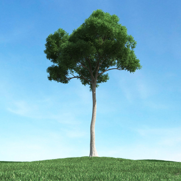 Archmodels vol 106 - Realistic Tress Collection
