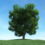 Archmodels vol 106 - Realistic Tress Collection