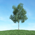 Archmodels vol 106 - Realistic Tress Collection
