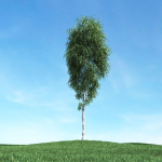 Archmodels vol 106 - Realistic Tress Collection