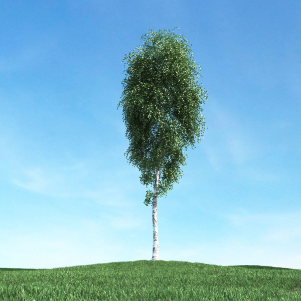 Archmodels vol 106 - Realistic Tress Collection