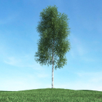 Archmodels vol 106 - Realistic Tress Collection