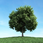 Archmodels vol 106 - Realistic Tress Collection