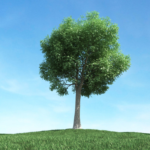Archmodels vol 106 - Realistic Tress Collection