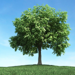 Archmodels vol 106 - Realistic Tress Collection