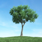 Archmodels vol 106 - Realistic Tress Collection