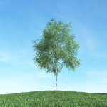 Archmodels vol 106 - Realistic Tress Collection