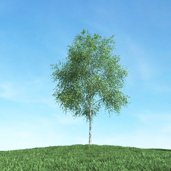 Archmodels vol 106 - Realistic Tress Collection