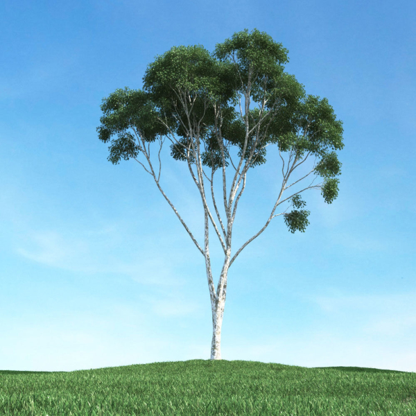 Archmodels vol 106 - Realistic Tress Collection