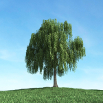 Archmodels vol 106 - Realistic Tress Collection