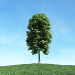 Archmodels vol 106 - Realistic Tress Collection