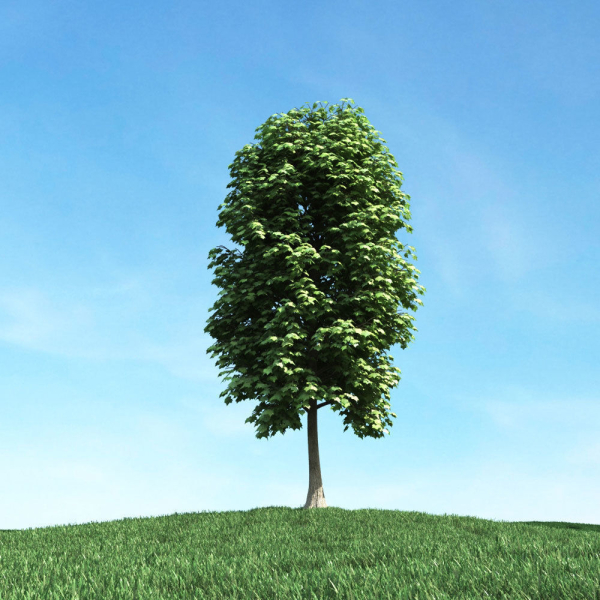 Archmodels vol 106 - Realistic Tress Collection