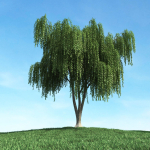 Archmodels vol 106 - Realistic Tress Collection