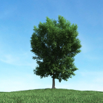 Archmodels vol 106 - Realistic Tress Collection
