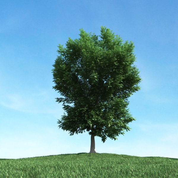 Archmodels vol 106 - Realistic Tress Collection