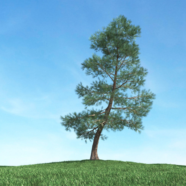 Archmodels vol 117 - Realistic Tree Collection