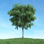 Archmodels vol 117 - Realistic Tree Collection
