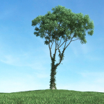 Archmodels vol 117 - Realistic Tree Collection