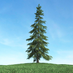 Archmodels vol 117 - Realistic Tree Collection