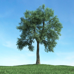 Archmodels vol 117 - Realistic Tree Collection