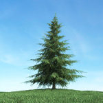 Archmodels vol 117 - Realistic Tree Collection