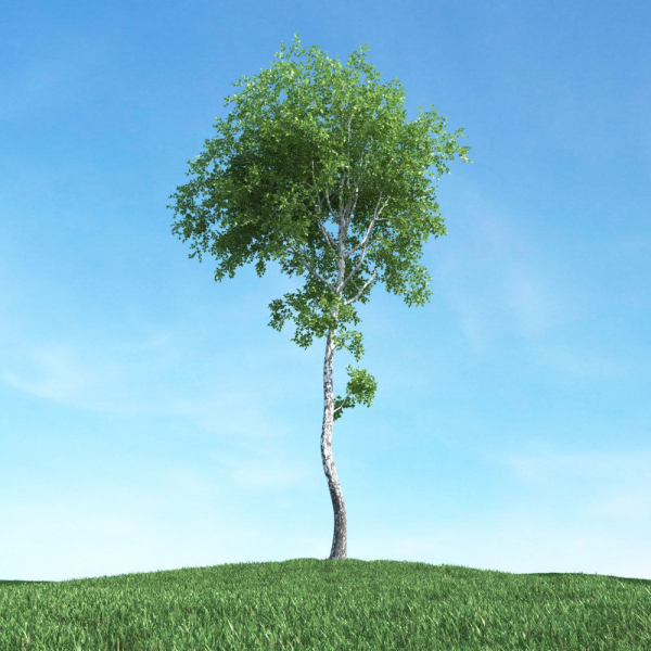 Archmodels vol 117 - Realistic Tree Collection