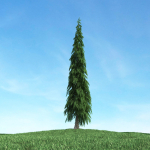 Archmodels vol 117 - Realistic Tree Collection