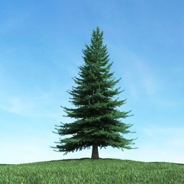 Archmodels vol 117 - Realistic Tree Collection