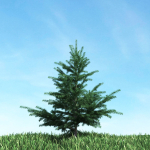 Archmodels vol 117 - Realistic Tree Collection