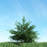Archmodels vol 117 - Realistic Tree Collection