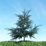 Archmodels vol 117 - Realistic Tree Collection