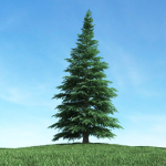 Archmodels vol 117 - Realistic Tree Collection